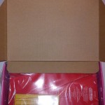 Nintendo 3DS Princess Peach