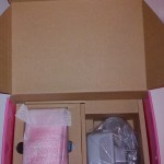 Nintendo 3DS Princess Peach